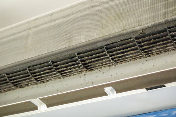 Best HVAC Air Duct Cleaning  in San Gabriel, CA